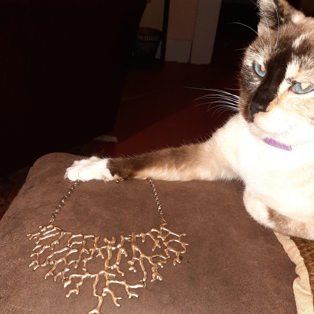 Goldtone branch statement bib necklace adjustable length - Picture 6 of 6